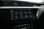 Harmaa Maastoauto, Audi e-tron – VAR-08395, kuva 20