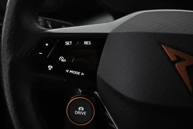 Harmaa Viistoperä, CUPRA Born – VAR-13301
