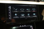Sininen Coupe, Audi e-tron – VAR-13733, kuva 19