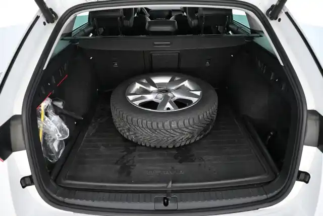 Valkoinen Farmari, Skoda Octavia – VAR-14798