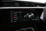 Harmaa Maastoauto, Audi e-tron – VAR-18089, kuva 23