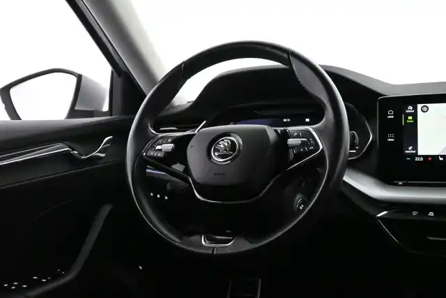 Harmaa Farmari, Skoda Octavia – VAR-24585