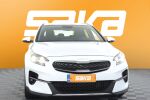 Valkoinen Viistoperä, Kia XCeed – VAR-26186, kuva 2