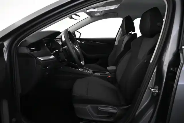 Harmaa Farmari, Skoda Octavia – VAR-68387