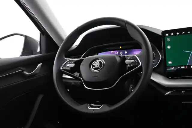 Harmaa Farmari, Skoda Octavia – VAR-69412