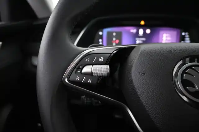 Harmaa Farmari, Skoda Octavia – VAR-69412
