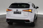 Valkoinen Maastoauto, Lexus NX – VAR-75267, kuva 2