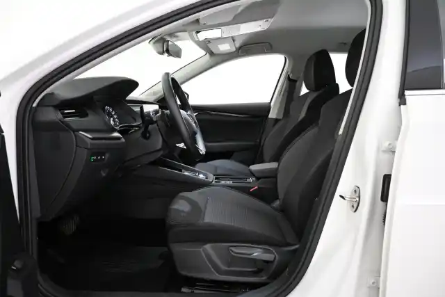 Valkoinen Farmari, Skoda Octavia – VAR-84638