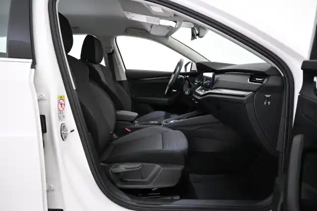 Valkoinen Farmari, Skoda Octavia – VAR-84638