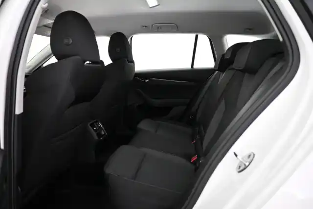 Valkoinen Farmari, Skoda Octavia – VAR-84638