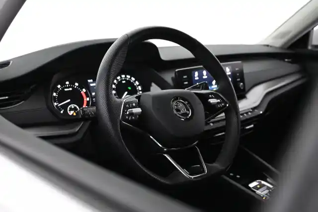 Valkoinen Farmari, Skoda Octavia – VAR-84638