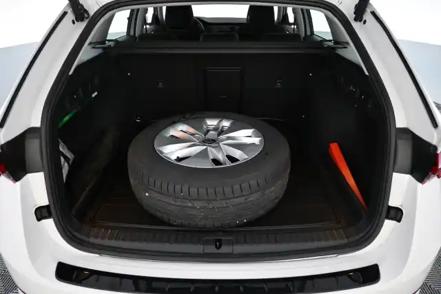  Farmari, Skoda Octavia – VAR-89075