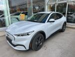  Maastoauto, Ford Mustang Mach-E – VARCWW-14-G, kuva 2