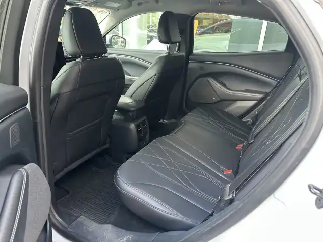  Maastoauto, Ford Mustang Mach-E – VARCWW-14-G