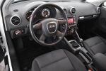Valkoinen Viistoperä, Audi A3 – VVU-911, kuva 15