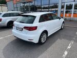 Valkoinen Viistoperä, Audi A3 – XOH-835, kuva 4