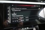 Valkoinen Maastoauto, Audi e-tron – XRO-290, kuva 24