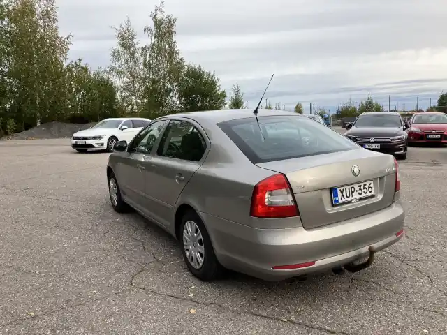 Ruskea (beige) Viistoperä, Skoda Octavia – XUP-356