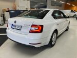 Valkoinen Viistoperä, Skoda Octavia – XXA-165, kuva 3