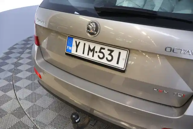Beige Farmari, Skoda Octavia – YIM-531