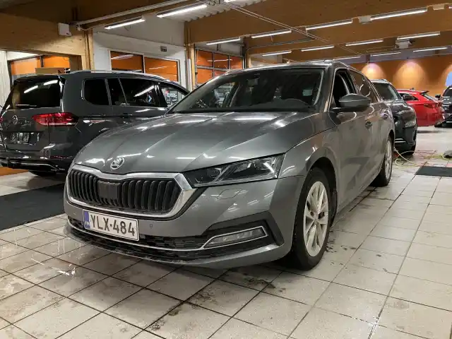 Harmaa Farmari, Skoda Octavia – YLX-484