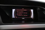 Punainen Viistoperä, Audi A5 – ZLO-932, kuva 24