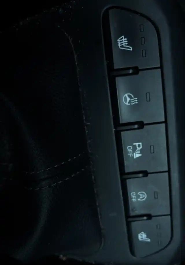 Punainen Viistoperä, Kia Rio – ZMX-516